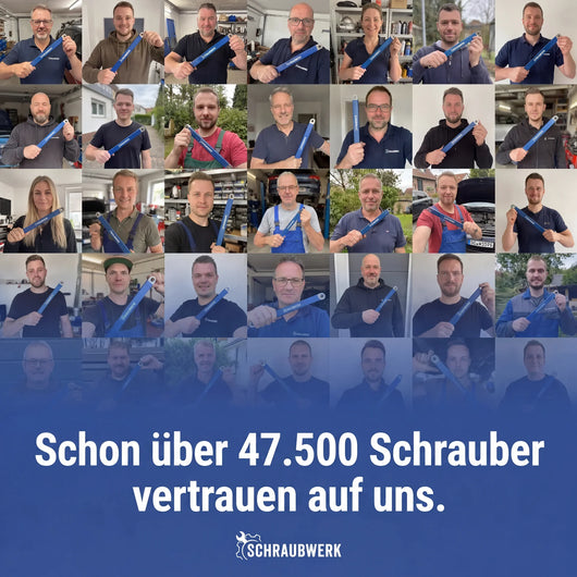 Schraubwerk - Offset Schlüssel®